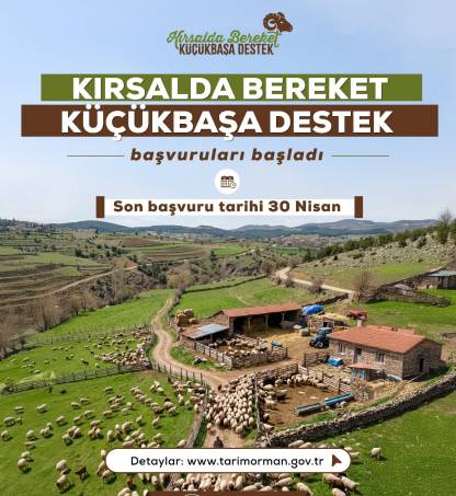 Kırsalda Bereket, Küçükbaşa Destek Projesi Başladı