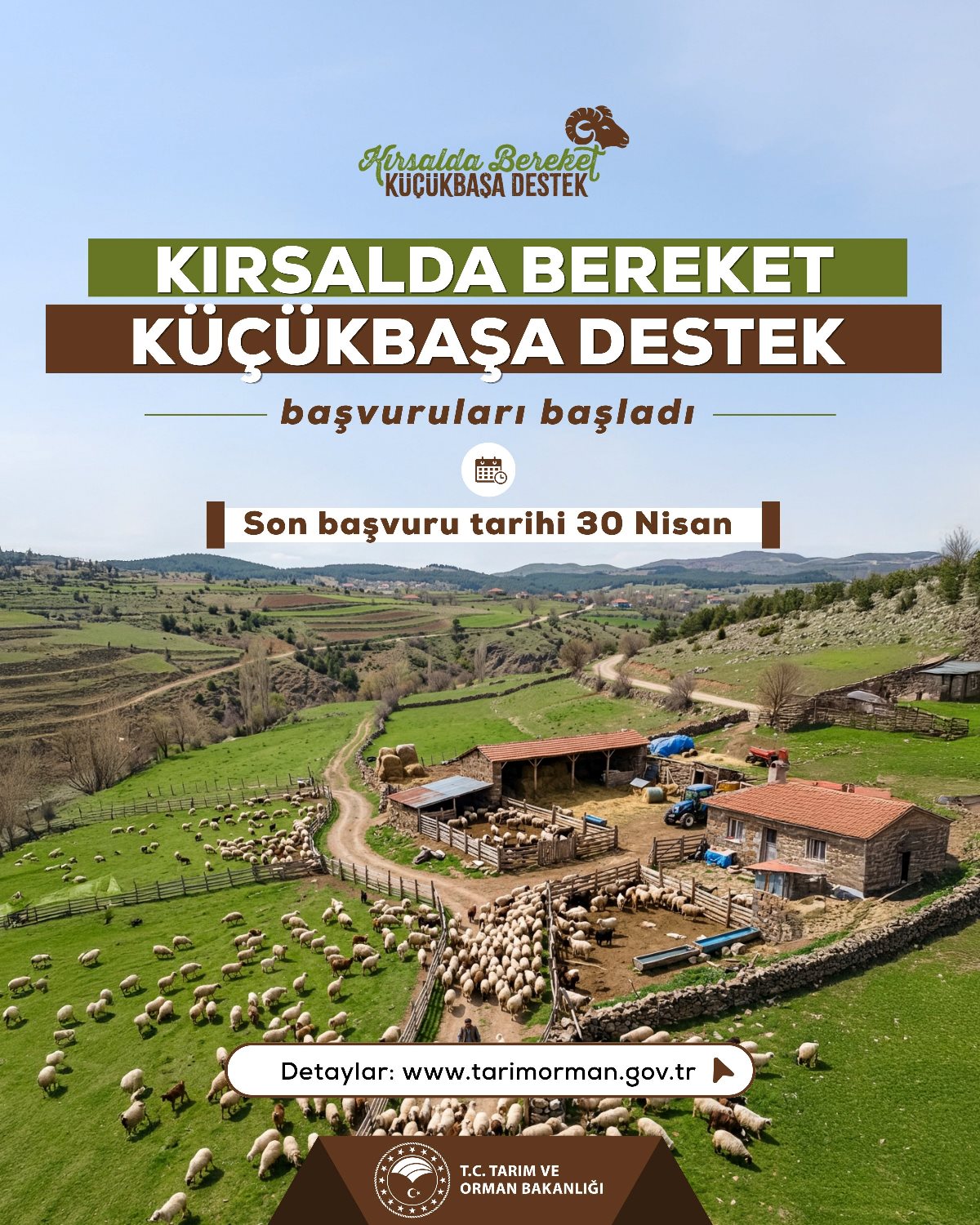 Kırsalda Bereket, Küçükbaşa Destek Projesi Başladı