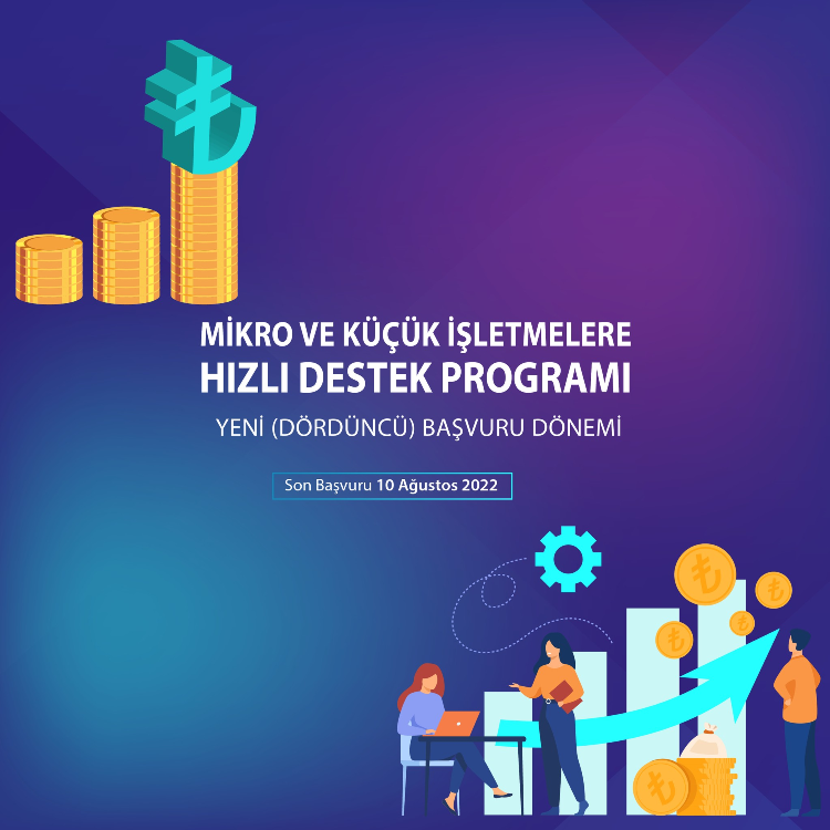 Mikro Ve Küçük İşletmelere Hızlı Destek Programı