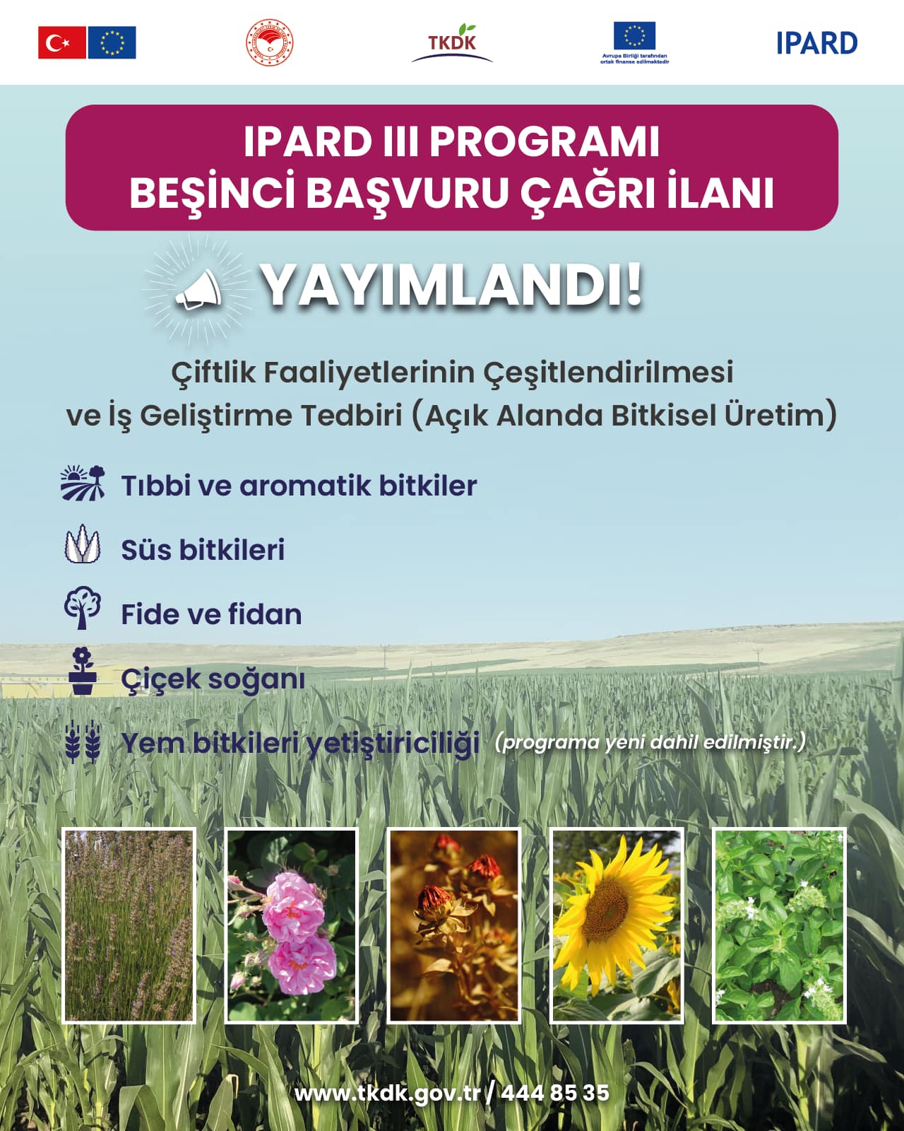 TKDK IPARD III Programı 5. Başvuru Çağrı İlanı Yayımlandı!